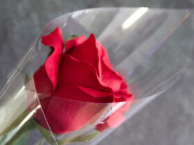 Florist Supplies - Picture of the top of a rose cone
