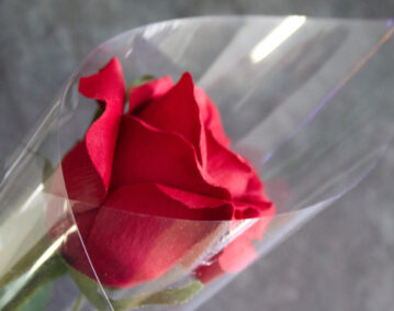 Florist Supplies - Picture of the top of a rose cone