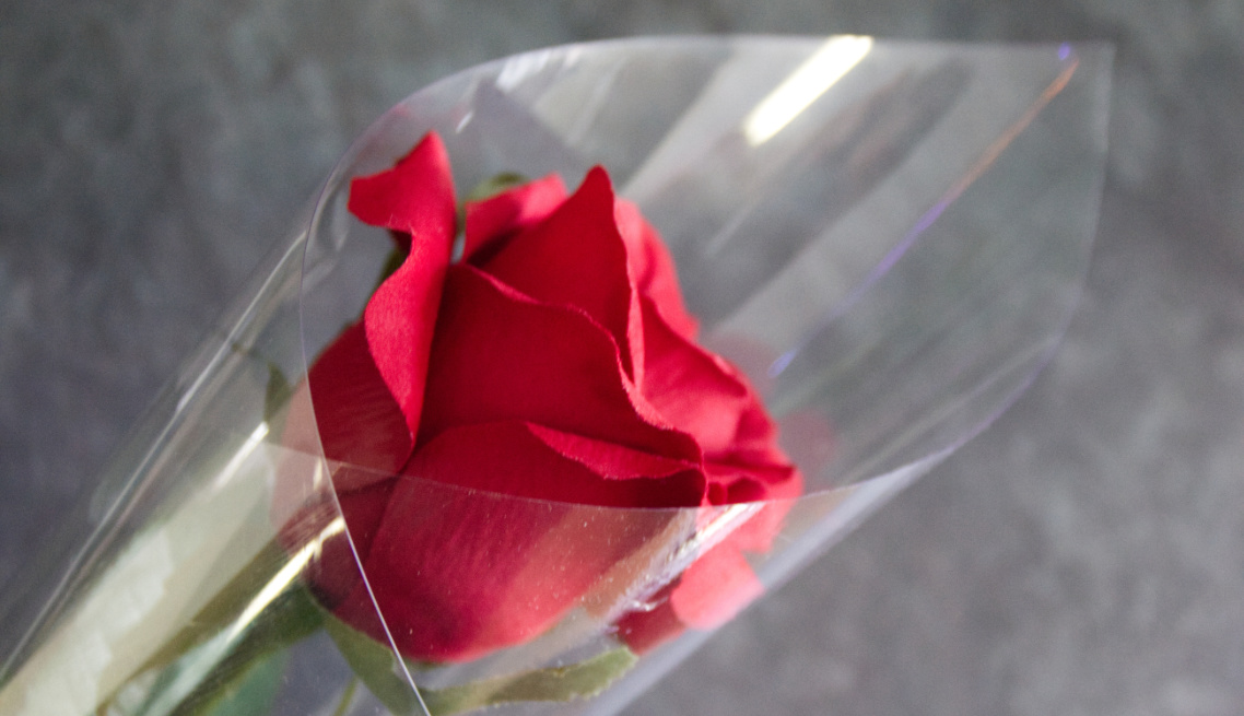 Florist supplies – Rose Cone