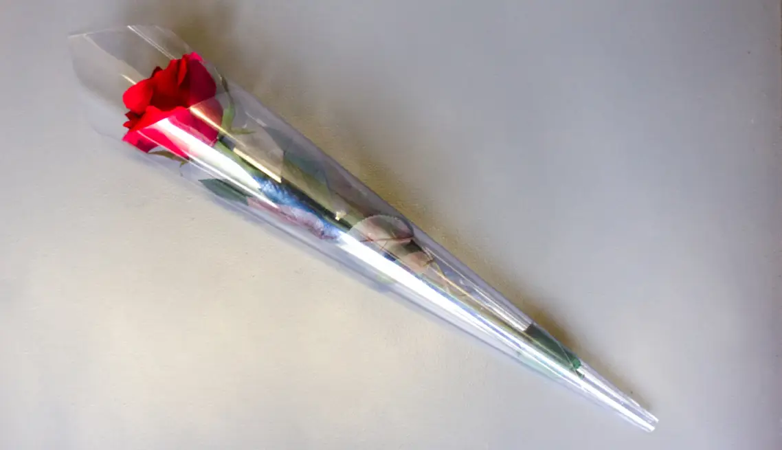 Florist Supplies – A Full Rose Cone