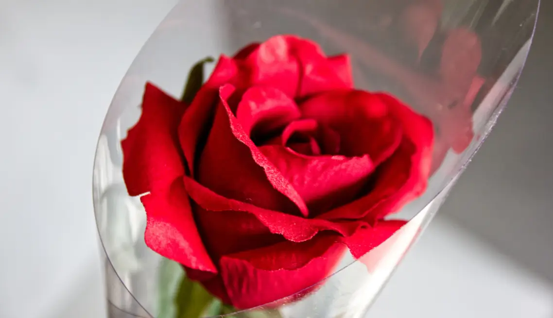 Florist Supplies - A Rose Cone Closeup